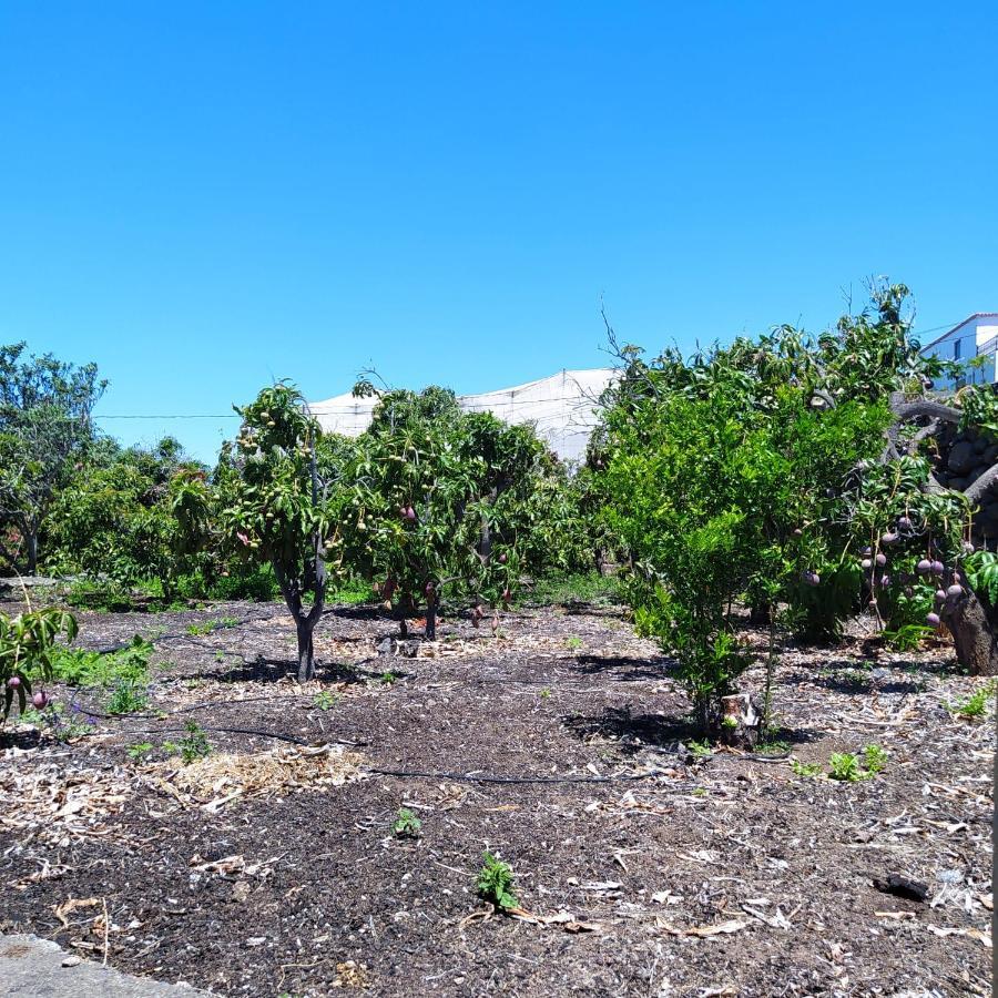 Casa Los Mangos Villa Tijarafe Eksteriør billede